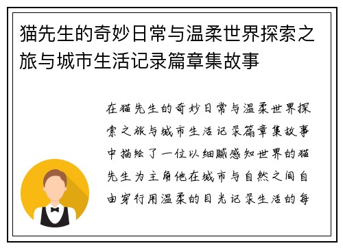 猫先生的奇妙日常与温柔世界探索之旅与城市生活记录篇章集故事